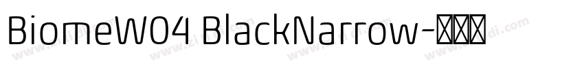 BiomeW04 BlackNarrow字体转换 BiomeW04 BlackNarrow字体转换